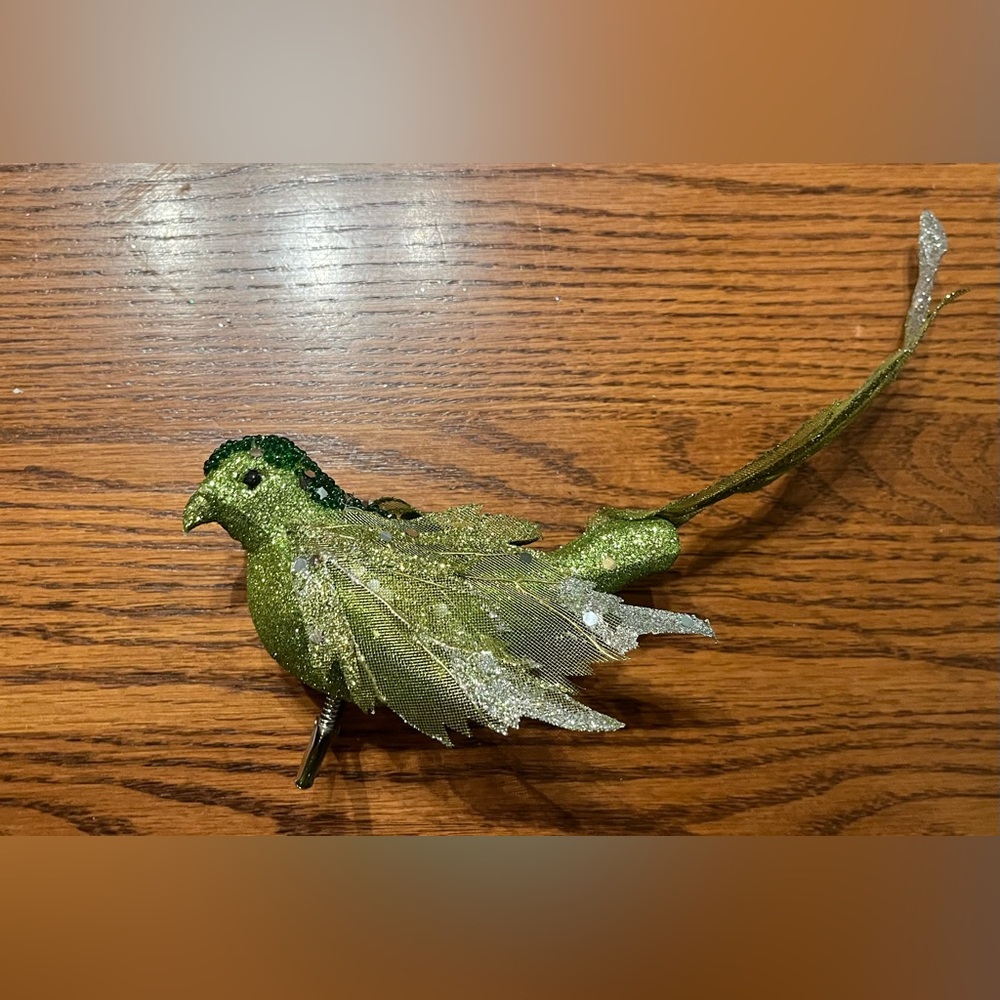 Christmas Craft Bird Ornaments (3)